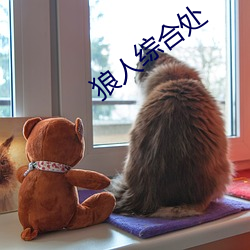 狼人綜合處
