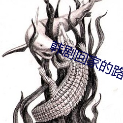 韩剧(劇)回家的(的)路