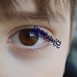 貓膩小說