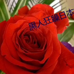 黑人狂躁日本(本)妞