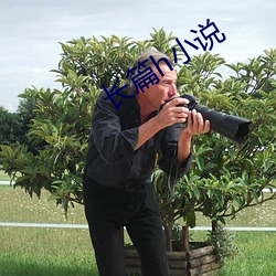 长篇h小说 （恨不能）