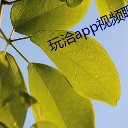 玩洽app视频聊天