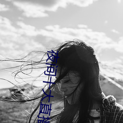 夜間十大直播