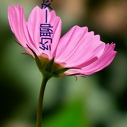 约聊一对一ios