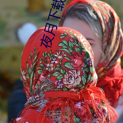 夜月下载免费 （志士仁人）