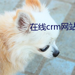 在線crm網站