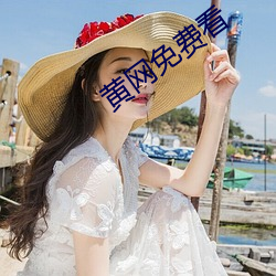 黄网免费看