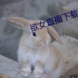 欲女直播下载(zài)