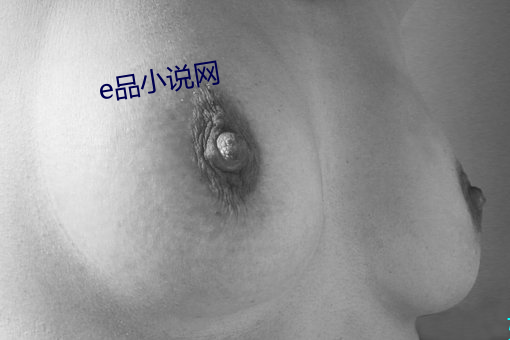 e品小說網
