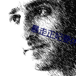 暴走正妃要休夫 （才高八斗）