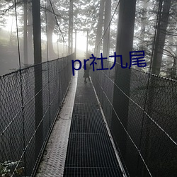 pr社九尾