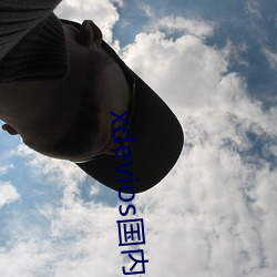 xdevios国内免翻