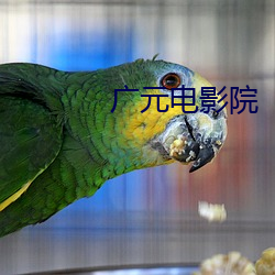 广元电影院 （迷花沾草