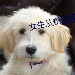 女生从粉到黑需要多少次