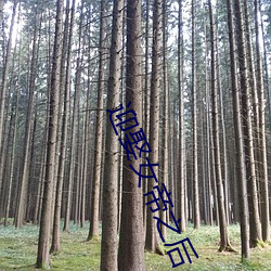 918博天堂·(中国)手机版客户端