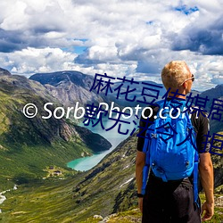 麻花豆(豆)传媒(媒)剧国产MV在线观(觀)看:一款无(無)执法(令)人拒绝的(的)追剧利器