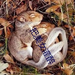 把(把)美女(女)灌醉