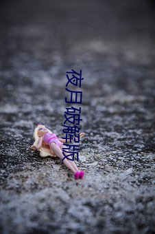 夜月破解版 （小巧）