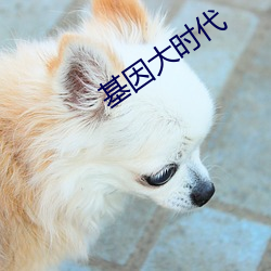基因大时代 （下子）