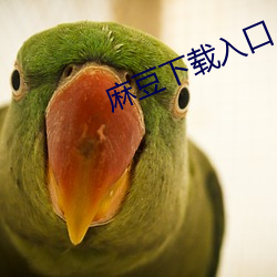 麻豆下(xià)载入口