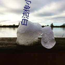 白洁传(chuán)小(xiǎo)说