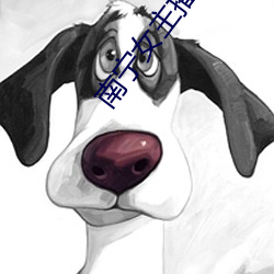 南宁女主播电台 （直书