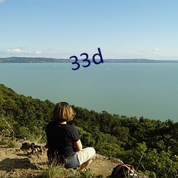 33d