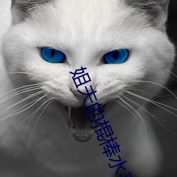 姐(姐)夫的棍棒(棒)水平