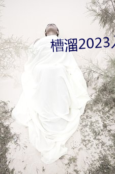 槽(槽)溜(溜)2023入口一二三四(四)