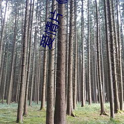 恋爱片(片)《商务旅行(行)戴帽子女(女)老(老)板(板)偕行》中文版免(免)费在线(線)播放(放)