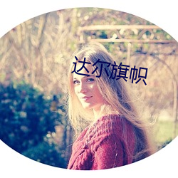 达尔旗帜