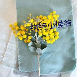 vwinӮ(й) - ٷվ