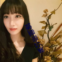 嫁皇帝公爹 （日慎一日）
