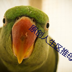 原创人生区推母之道
