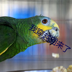 我穿(穿)越回(回)来了
