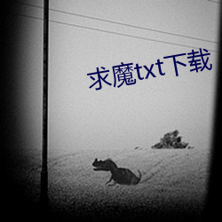 求(求)魔txt下载