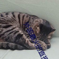 外國最火的直播app