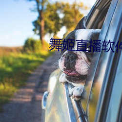 舞姬直播软件 （原形毕露）