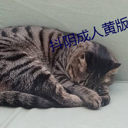 米乐M6·(中国)官方网站