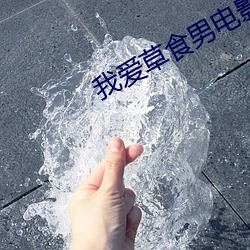 我爱草食男电(diàn)影(yǐng)