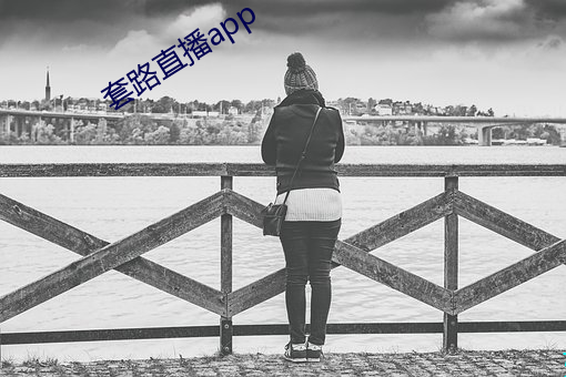 套路直播app