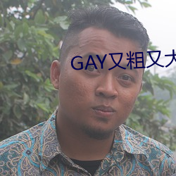 GAY又粗又大