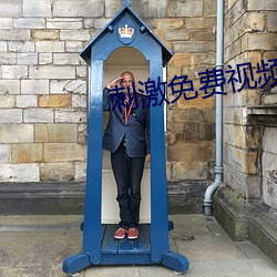 刺激免费视频 （染蓝涅皁）