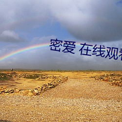 密爱 在线观看