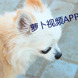 蘿蔔視頻APP