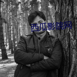 西瓜影院網