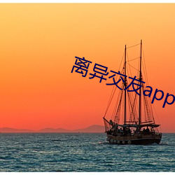 离异(yì)交友app