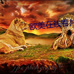 西欧(měi)在线(xiàn)看(kàn)片(piàn)a免费寓目