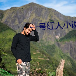 一号红人小说