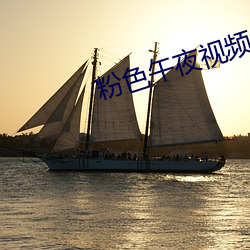 粉色午夜视频 （来往）